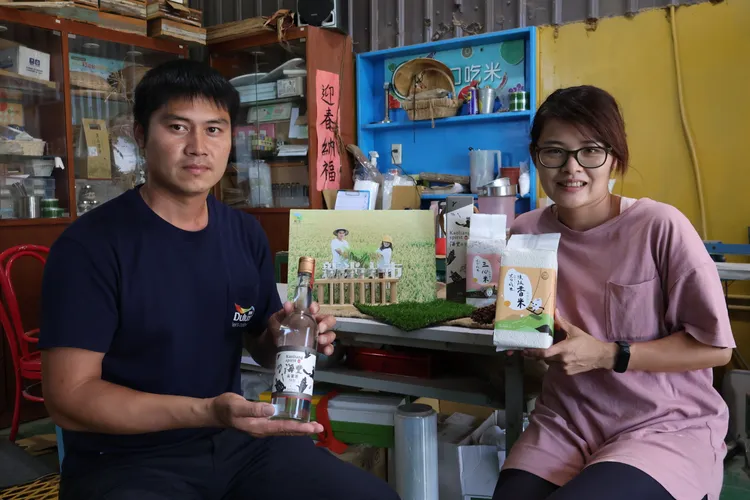 不只種植稻米，劉政育也種植各種雜糧包括飼料玉米、黑豆、大豆、高粱，而高粱也委託酒廠製成高粱酒。黃羿馨攝