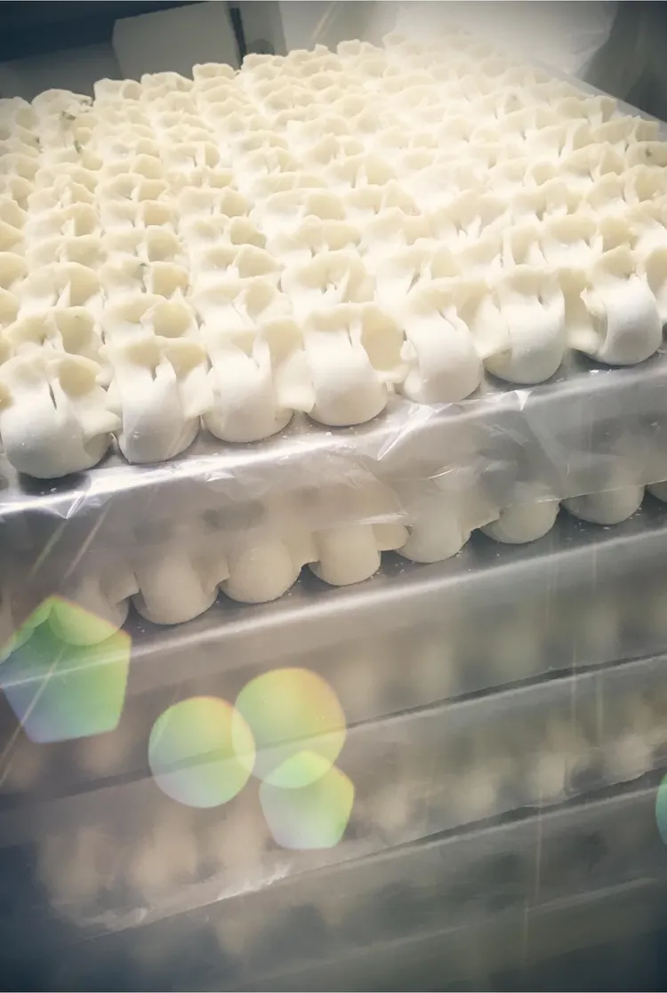 台中市壹等涼今年5月間被衛生局抽驗販售的冷凍高麗菜水餃與鮮肉餛飩，初檢與複檢大腸桿菌都超標不符規定，共遭開罰6萬元。取自壹等涼網站