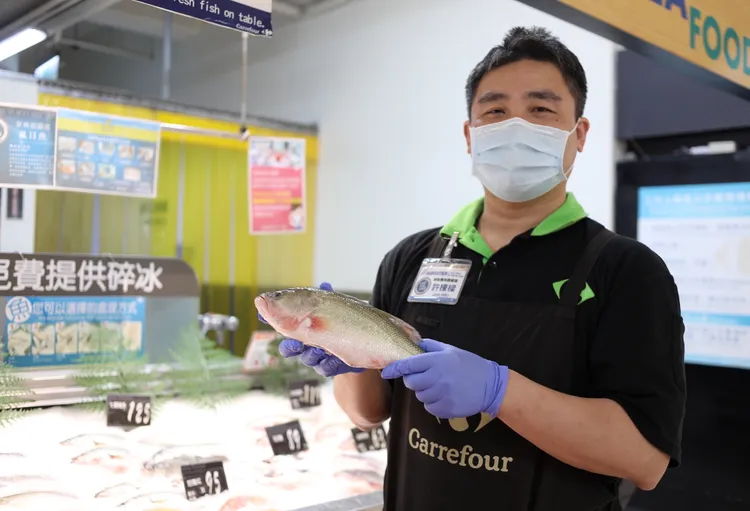 營養師建議，孕婦吃魚的重點，第一是吃小型深海魚。陳明中攝