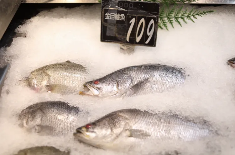 食藥署建議孕婦每週應均衡攝食7到9份的「各種魚類」。陳明中攝