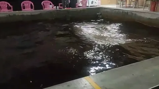 近2年首例霍亂現蹤！40多歲女水瀉到不行　疑吃受污染生蚵蝦釀禍