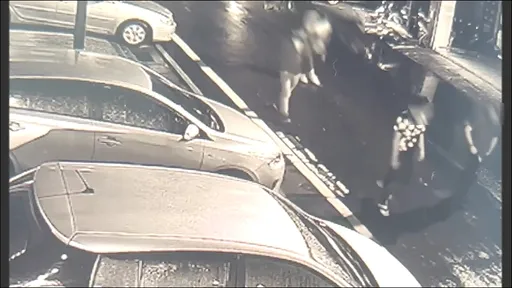 稱遭強押凌虐拍不雅片　警察也霧煞煞！新北男報案卻拿無證據