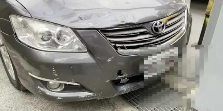 郭女車子多處擦損。讀者提供