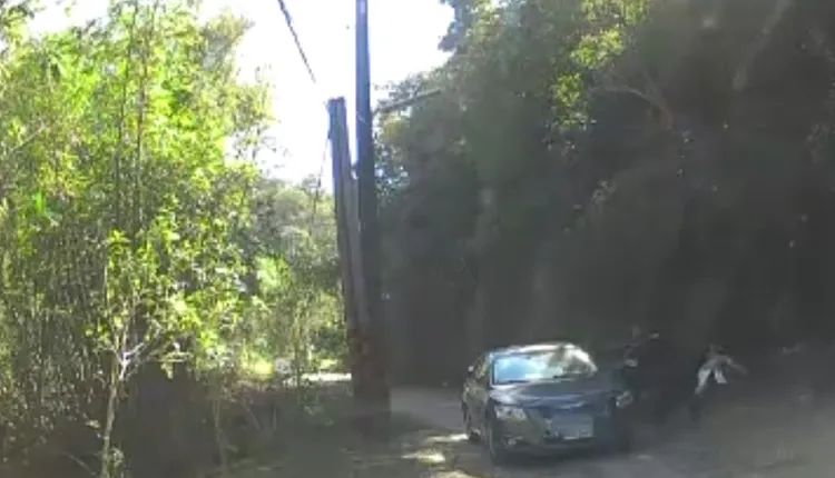 員警將嫌犯郭姓女子拉出車外。讀者提供