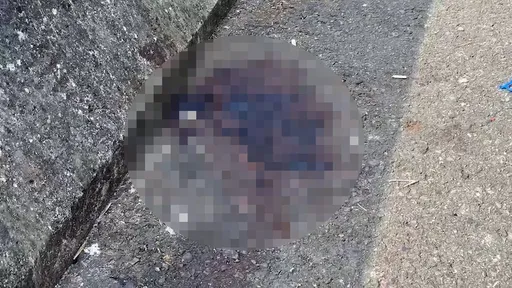 雲林刺胸命案!20歲男夜遊跑山遇仇家 蝴蝶刀狂插血染縣道149