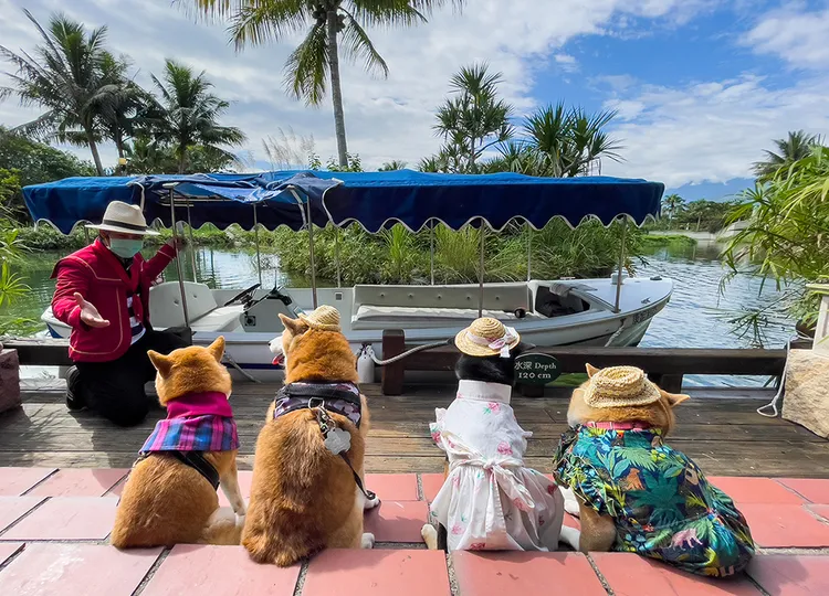 理想大地竉物友善旅館設置毛孩專船服務，讓主人和毛孩共享。理想大地提供