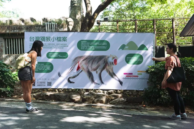 壽山動物園新設置獼猴的宣導牌面。台灣獼猴共存推廣協會提供