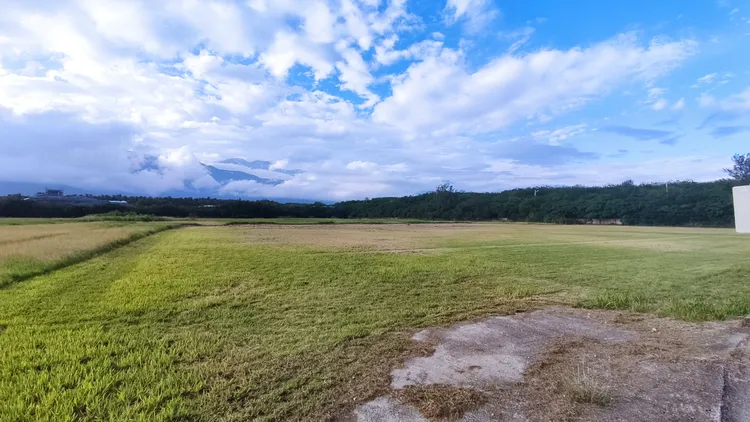 台酒花蓮酒廠6公頃土地開發場地  王文傑攝
