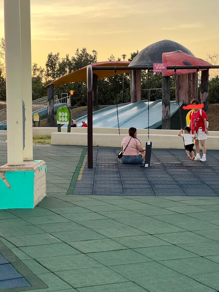 盪鞦韆被家長玩壞。翻攝「路上觀察學院」臉書