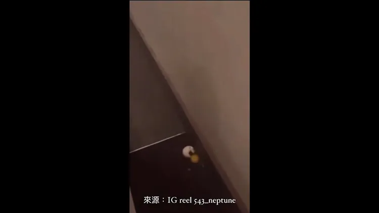 真相其實藏在角落。影片經IG :reel :543_neptune授權