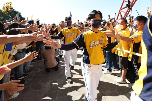 中職金手套公布　中信兄弟5人獲獎最大贏家！桃猿無人獲獎