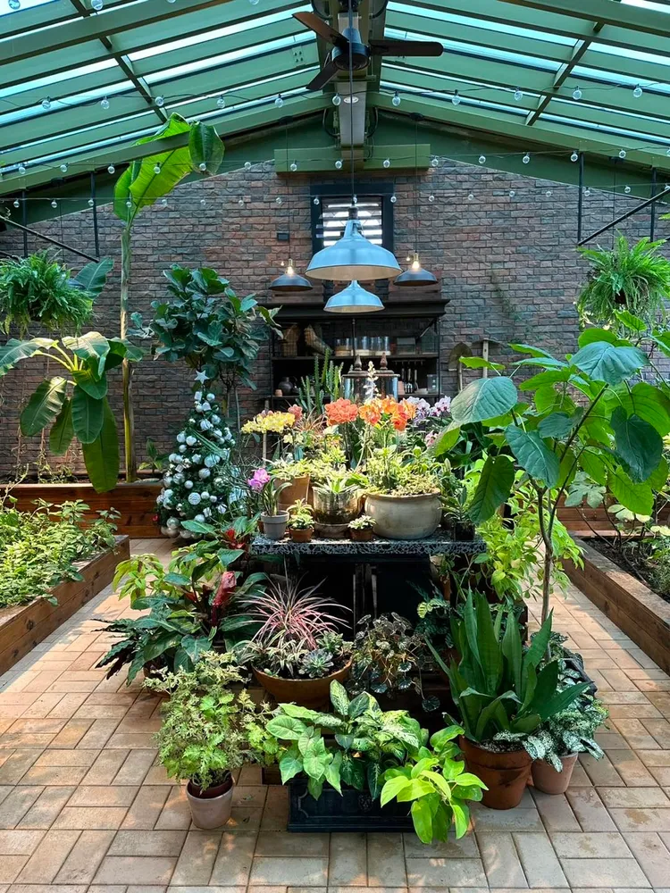 陳文茜用單手整理溫室花園。翻攝陳文茜臉書