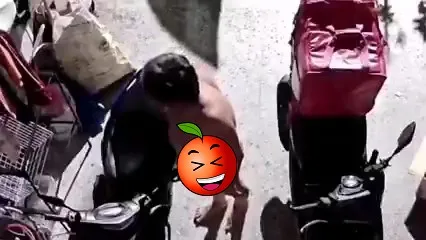 傷眼影片!寒流來襲他全裸上街 彰化怪男暗夜開賓士出門「凍鳥」