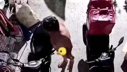 監視器清楚拍下男子從賓士車走下，在別人住家騎樓屋外四處張望，全程清晰可見其一絲不掛。攝自FB《報廢公社二館》