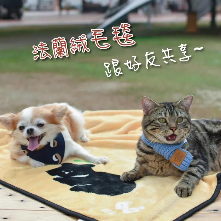 捐血三次送台灣黑熊法蘭絨毛毯。台南捐血中心提供