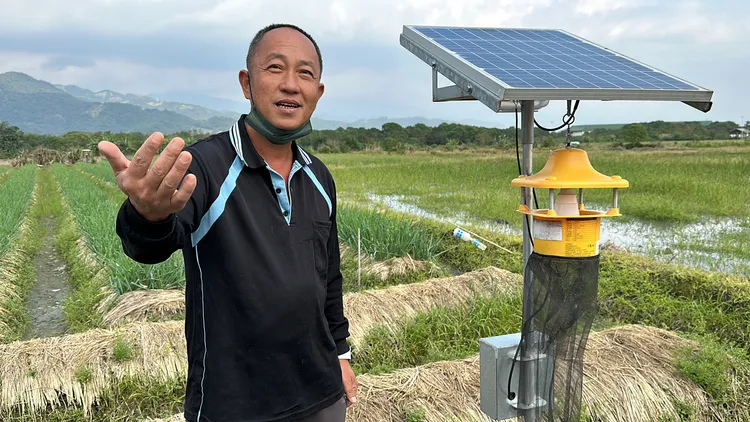 林東海的蔥田周邊設置多座太陽能捕蛾機，為了找出最佳的害蟲防治方式。林泊志攝
