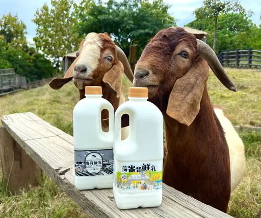 保久乳為何這麼能放？答案不是防腐劑！　食藥署揭曉謎底