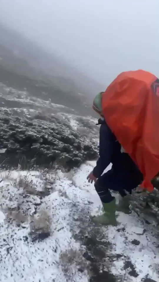 雪山主峰昨飄下今年初雪，但今天是否繼續降雪，有待山友回報。布農卡里布灣登山社提供