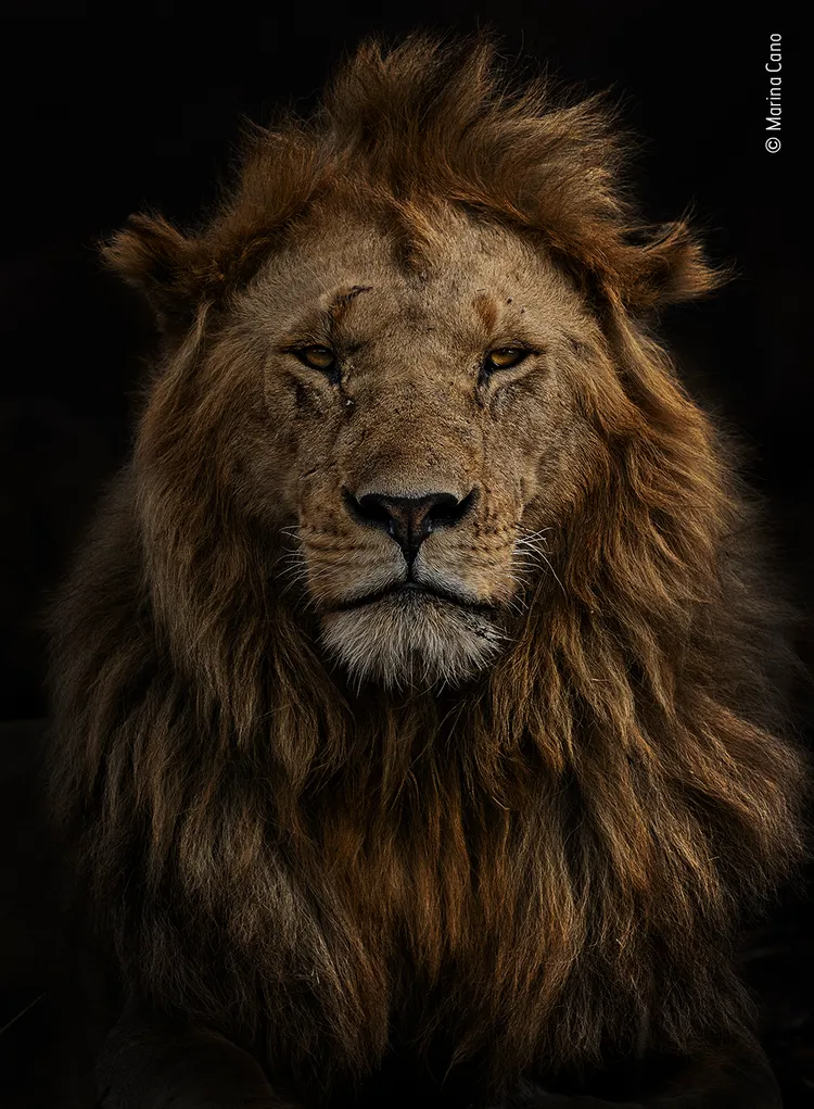 © Marina Cano, Wildlife Photographer of the Year