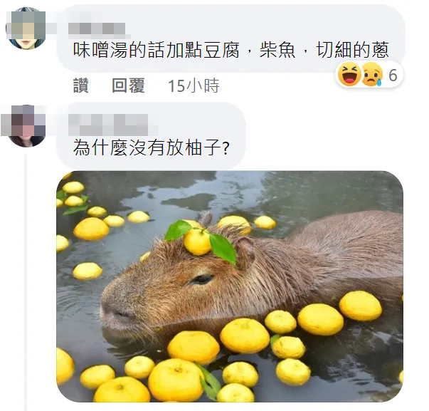 網友說水豚泡澡像味噌湯。 取自壽山動物園臉書