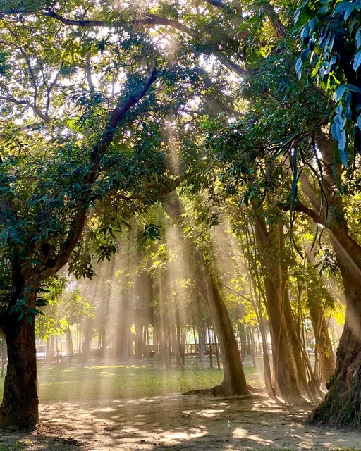 台南超夯景點驚見「耶穌光」 網友搶朝聖:這是天使下凡的光束!