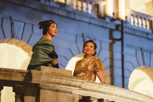 83歲陳淑芳台北賓館當祖厝 晉升國際CEO霸氣喊「裴洛西才應該學我」