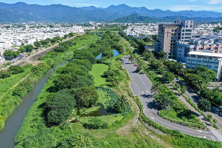 台東太平濕地。台東縣府提供