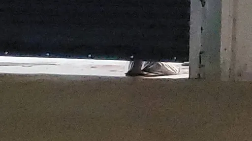 高雄槍殺1死1傷動機曝光 直擊駭人現場!鐵皮屋留神秘血腳印