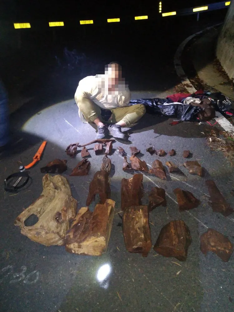 警方逮捕楊嫌和查獲16塊珍貴肖楠木。警方提供