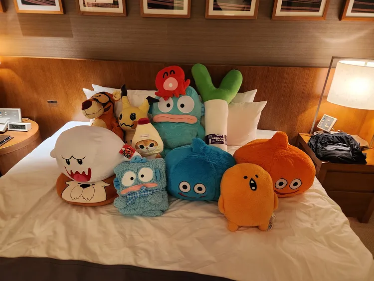 邵庭最後自己動手整理玩偶。翻攝邵庭臉書