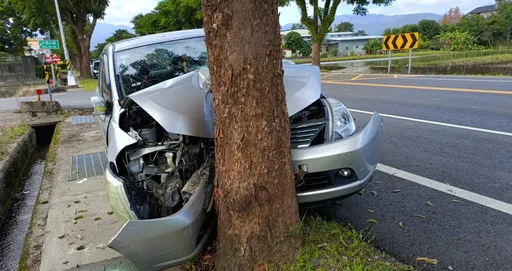 宜蘭翁開車載妻外出 疑精神不濟自撞路樹