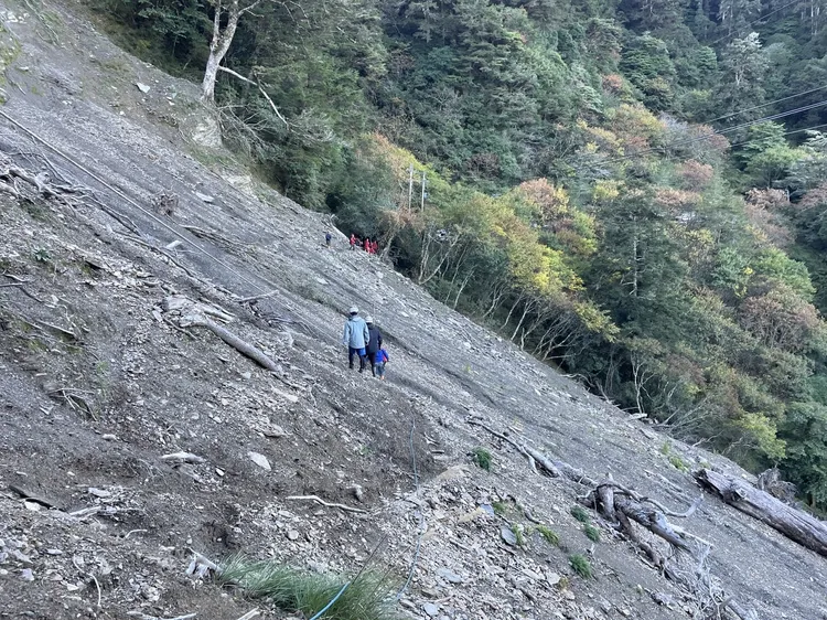 搜救人員輪番方式，安全將婦人抬下山。民眾提供