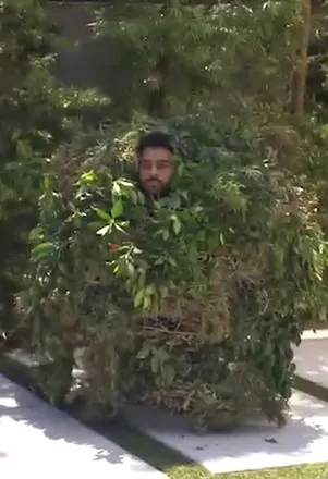 男友竟偽裝成一顆樹在旁邊看女友。YouTube@Adam W 授權刊登