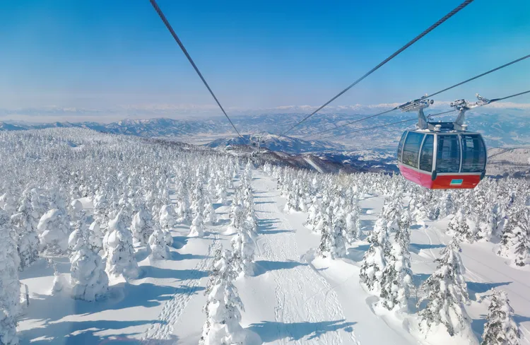 「藏王樹冰東京5日」團體行程，雙12活動期間每人優惠1212元。易飛網提供