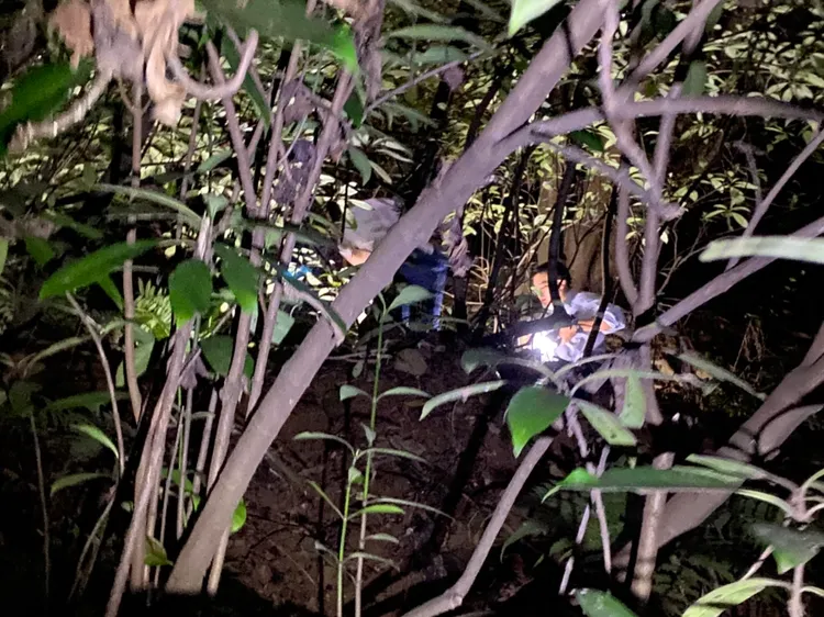 警方展開搜山。新北市刑大提供