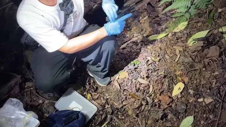 警方起出槍枝。新北市刑大提供