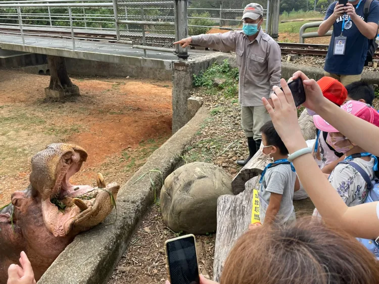 跟著專業保育員，了解野生動物園平時的照養工作與開啟對動物行為豐富化的認識。並帶著大小朋友進入平時不對外開放的河馬展場、黑熊展場與犀牛室內欄舍，近距離了解動物們的生活習性。六福村提供