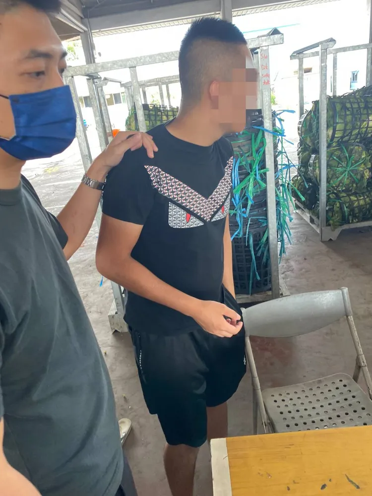 警方逮獲上遊詐團共犯。大園警分局提供