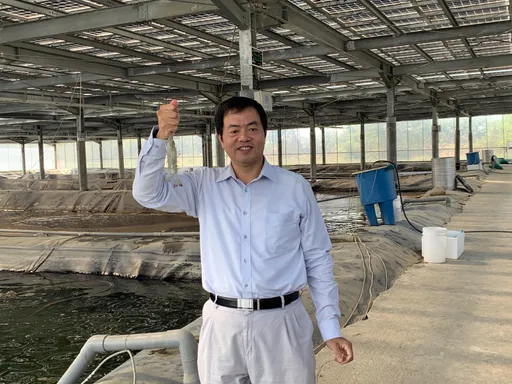 明年太陽能躉售費率調降2~3% 業者不滿要求調回來