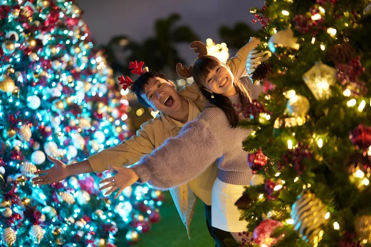 3.精心打造浪漫聖誕打卡熱點歡度聖誕佳節。港旅局提供