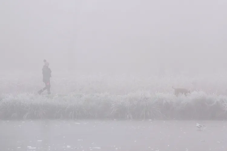 倫敦居民11日在一處公園內結了冰的湖畔遛狗。路透社