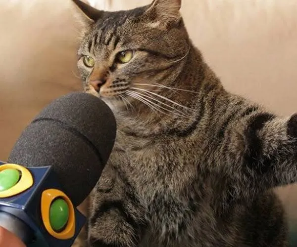 「把我扔下去，我就作法教訓他們」。翻攝推特@CCupo