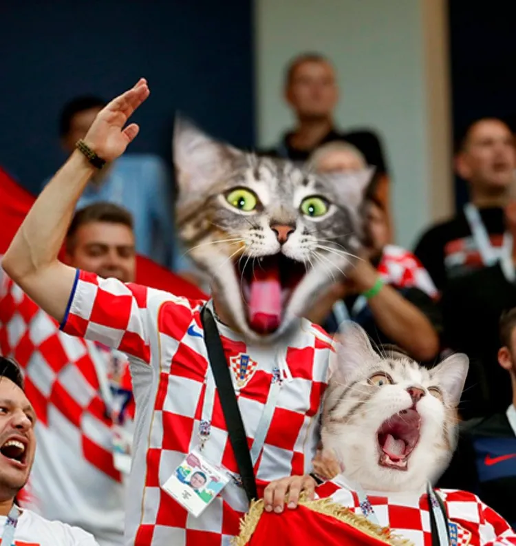 梗圖還把克羅埃西亞球迷變成貓咪。翻攝推特