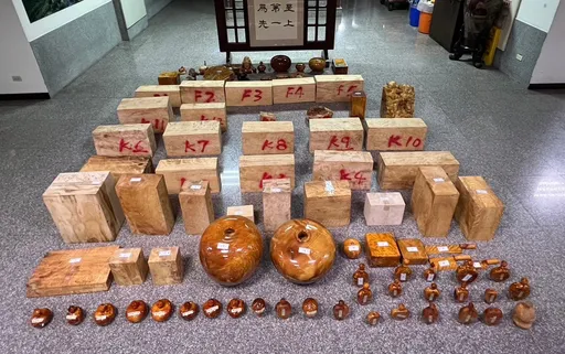 外籍山老鼠盗伐珍贵木材 检警查扣439公斤角材