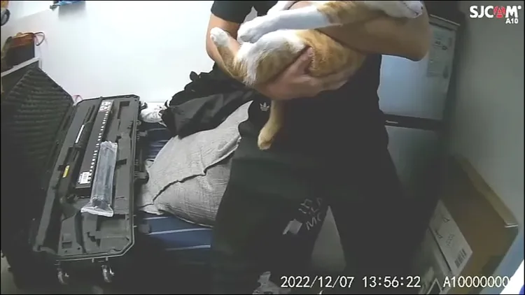 警方在解男住處搜出3把空氣槍、刀械、安非他命及吸食器。警方提供