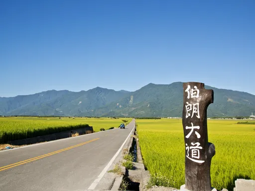 春節國旅|過年走春5大城市買氣旺!早鳥優惠最高省2千