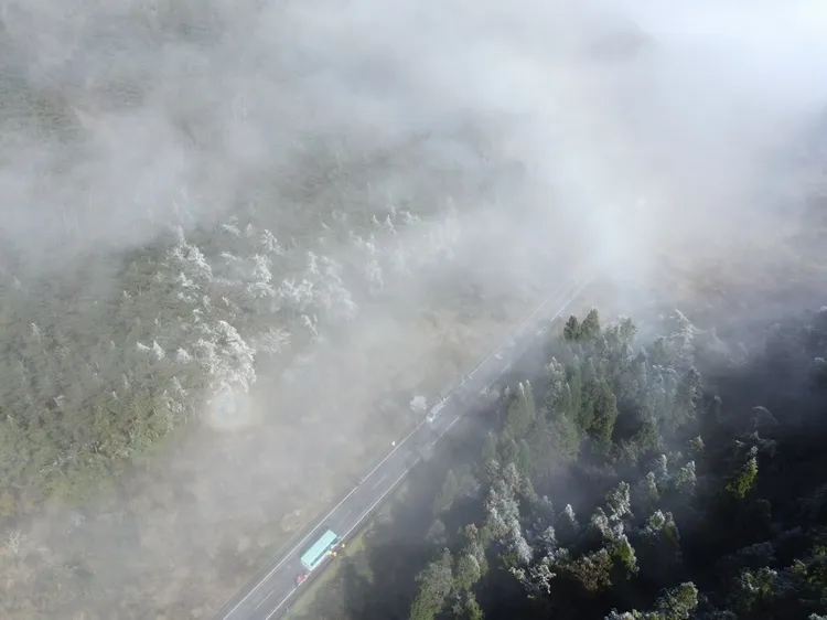 寒流報到！思源埡口變身銀白世界。武陵農場提供