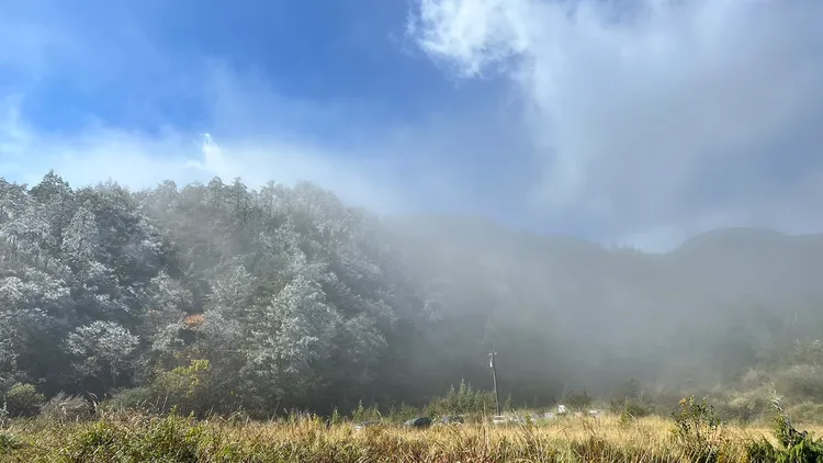 寒流報到！思源埡口變身銀白世界。武陵農場提供
