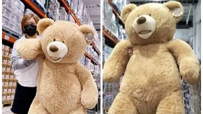 請熊容易送熊難! 高雄好市多網推熊「還不如後面小白兔」