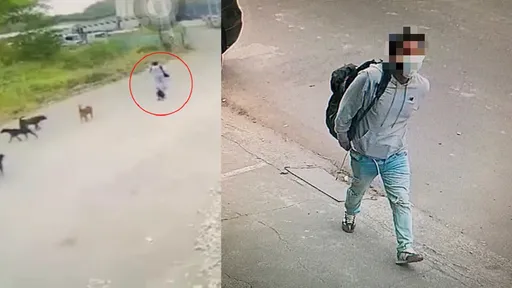 高雄槍殺逃亡身影曝光！槍手死前遭狗群攻擊　轟頭取命為這件事